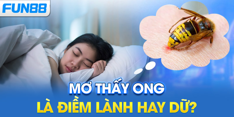 Mơ thấy ong là điềm lành hay dữ?
